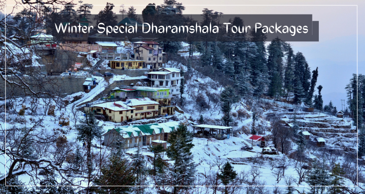 winter special Dharamshala tour packages